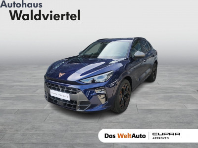 Cupra Terramar Gebrauchtwagen
