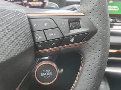 Cupra Terramar Gebrauchtwagen