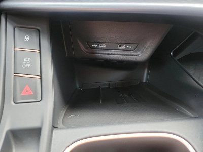 Cupra Terramar Gebrauchtwagen