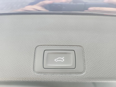Cupra Terramar Gebrauchtwagen