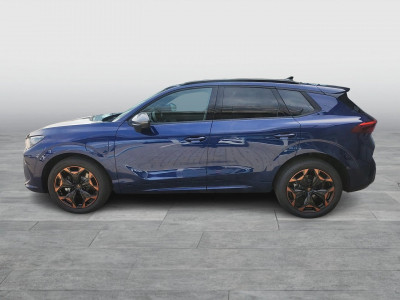 Cupra Terramar Gebrauchtwagen