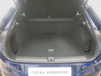 Cupra Terramar Gebrauchtwagen