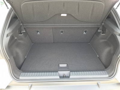 Cupra Raval Gebrauchtwagen