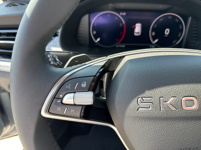 Skoda Kamiq Gebrauchtwagen Skoda Kamiq Gebrauchtwagen