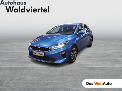 KIA Ceed Gebrauchtwagen
