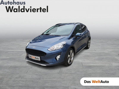 Ford Fiesta Gebrauchtwagen Ford Fiesta Gebrauchtwagen