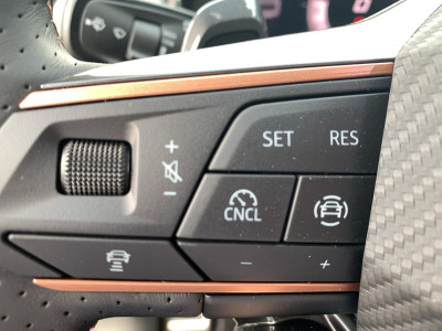 Cupra Terramar Gebrauchtwagen Cupra Terramar Gebrauchtwagen