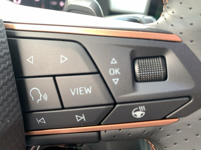 Cupra Terramar Gebrauchtwagen Cupra Terramar Gebrauchtwagen