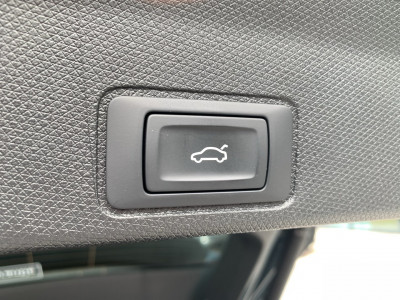 Cupra Terramar Gebrauchtwagen Cupra Terramar Gebrauchtwagen