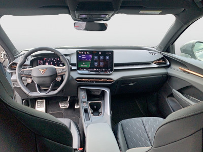 Cupra Terramar Gebrauchtwagen Cupra Terramar Gebrauchtwagen