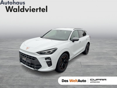 Cupra Terramar Gebrauchtwagen Cupra Terramar Gebrauchtwagen