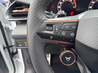 Cupra Terramar Gebrauchtwagen Cupra Terramar Gebrauchtwagen