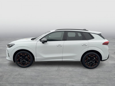 Cupra Terramar Gebrauchtwagen Cupra Terramar Gebrauchtwagen