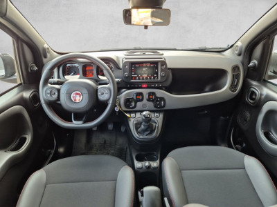 Fiat Panda Gebrauchtwagen