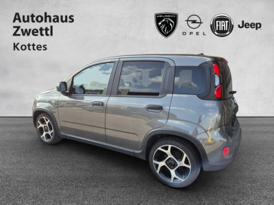 Fiat Panda Gebrauchtwagen