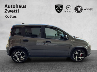 Fiat Panda Gebrauchtwagen