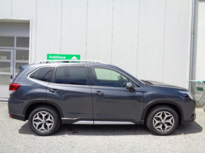 Subaru Forester Gebrauchtwagen