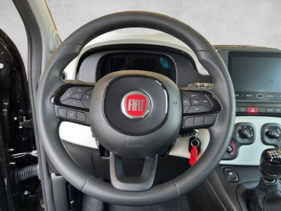 Fiat Panda Gebrauchtwagen Fiat Panda Gebrauchtwagen