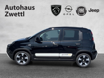 Fiat Panda Gebrauchtwagen Fiat Panda Gebrauchtwagen