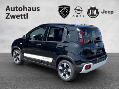 Fiat Panda Gebrauchtwagen Fiat Panda Gebrauchtwagen