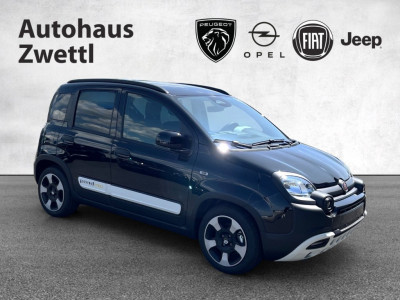 Fiat Panda Gebrauchtwagen Fiat Panda Gebrauchtwagen