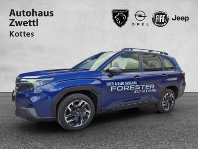 Subaru Forester Gebrauchtwagen Subaru Forester Gebrauchtwagen