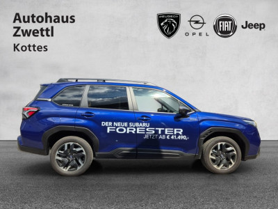 Subaru Forester Gebrauchtwagen Subaru Forester Gebrauchtwagen