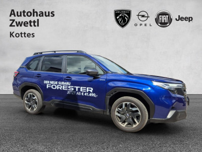 Subaru Forester Gebrauchtwagen Subaru Forester Gebrauchtwagen