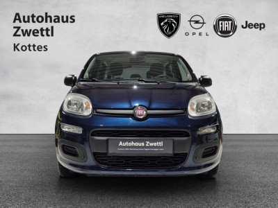 Fiat Panda Gebrauchtwagen Fiat Panda Gebrauchtwagen