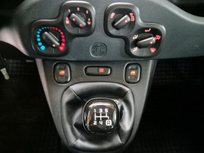 Fiat Panda Gebrauchtwagen Fiat Panda Gebrauchtwagen