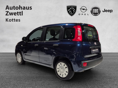 Fiat Panda Gebrauchtwagen Fiat Panda Gebrauchtwagen