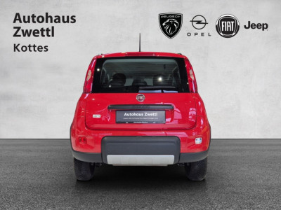 Fiat Panda Gebrauchtwagen Fiat Panda Gebrauchtwagen