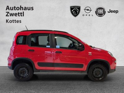 Fiat Panda Gebrauchtwagen Fiat Panda Gebrauchtwagen