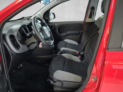 Fiat Panda Gebrauchtwagen Fiat Panda Gebrauchtwagen