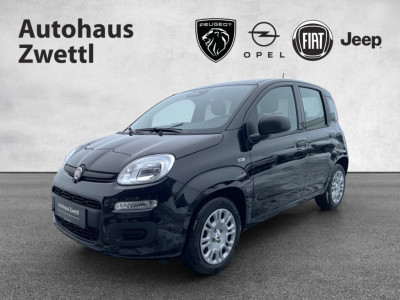 Fiat Panda Gebrauchtwagen Fiat Panda Gebrauchtwagen