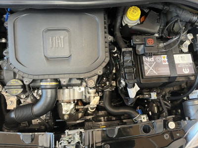 Fiat Panda Gebrauchtwagen