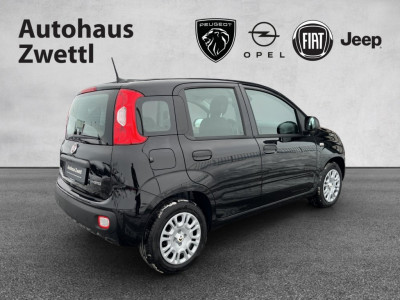 Fiat Panda Gebrauchtwagen