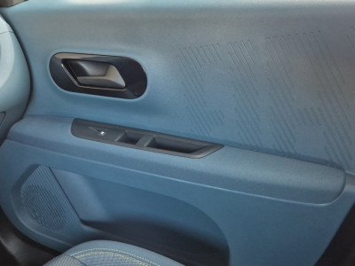 Fiat Grande Panda Gebrauchtwagen