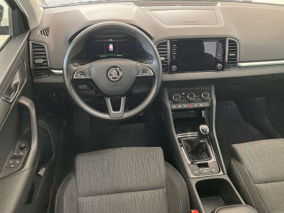 Skoda Karoq Gebrauchtwagen