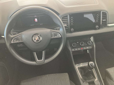 Skoda Karoq Gebrauchtwagen