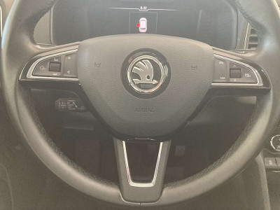 Skoda Karoq Gebrauchtwagen