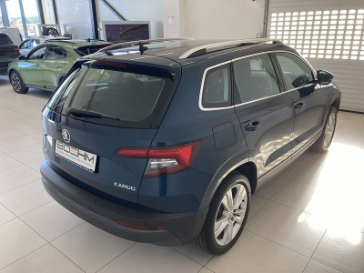 Skoda Karoq Gebrauchtwagen