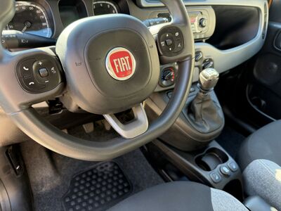Fiat Panda Gebrauchtwagen Fiat Panda Gebrauchtwagen