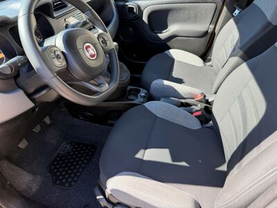 Fiat Panda Gebrauchtwagen Fiat Panda Gebrauchtwagen