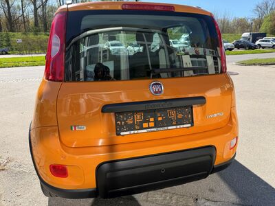 Fiat Panda Gebrauchtwagen Fiat Panda Gebrauchtwagen