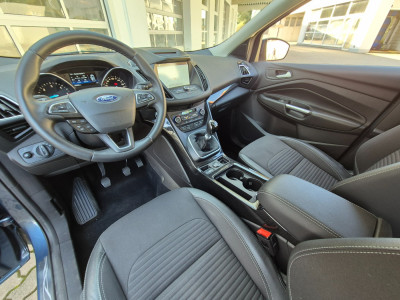 Ford Kuga Gebrauchtwagen