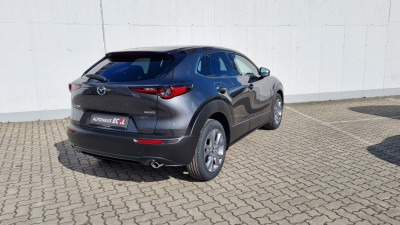 Mazda CX-30 Neuwagen Mazda CX-30 Neuwagen
