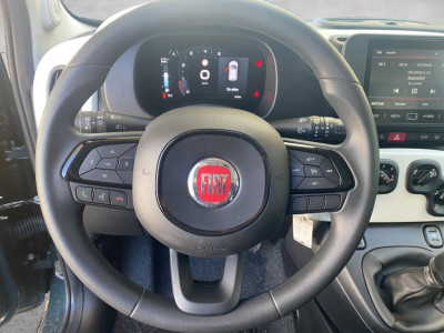 Fiat Panda Gebrauchtwagen