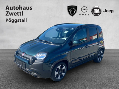 Fiat Panda Gebrauchtwagen
