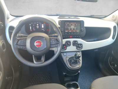Fiat Panda Gebrauchtwagen
